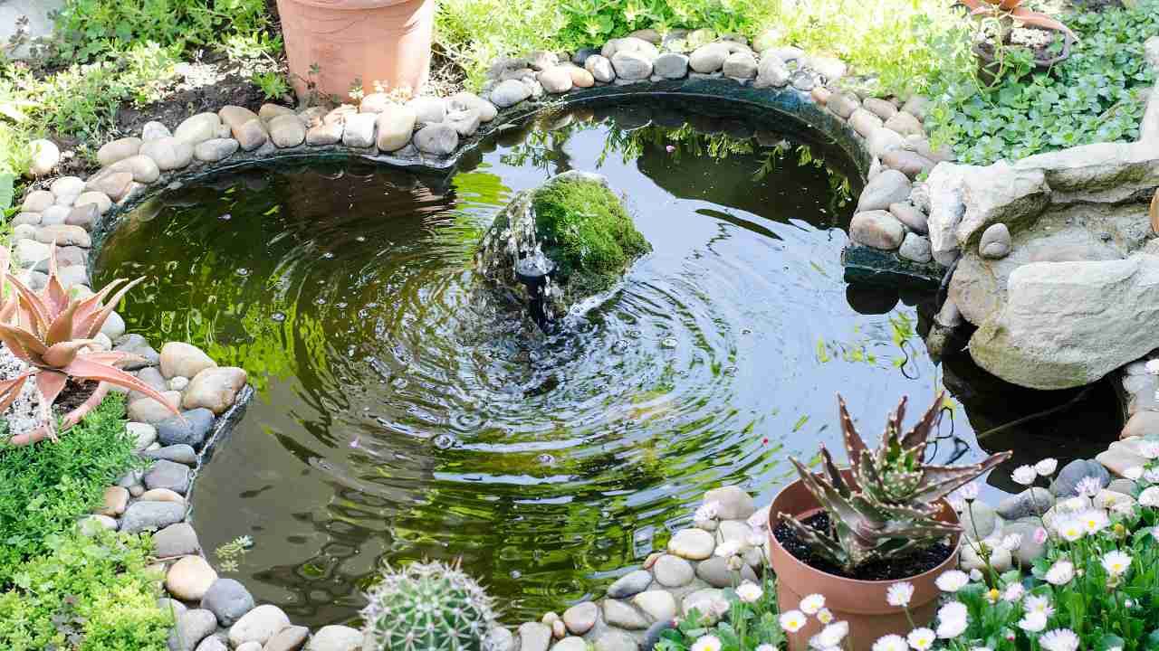 backyard water features