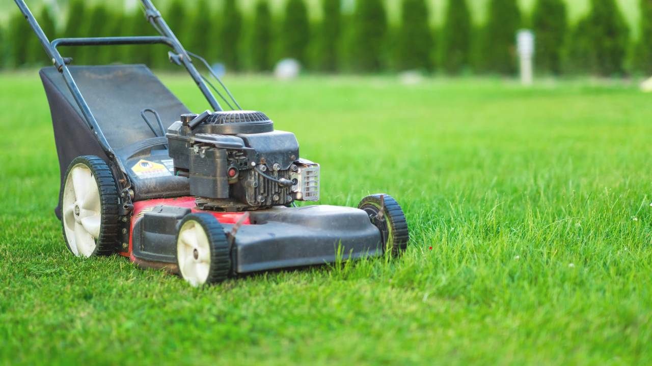 seasonal lawn care