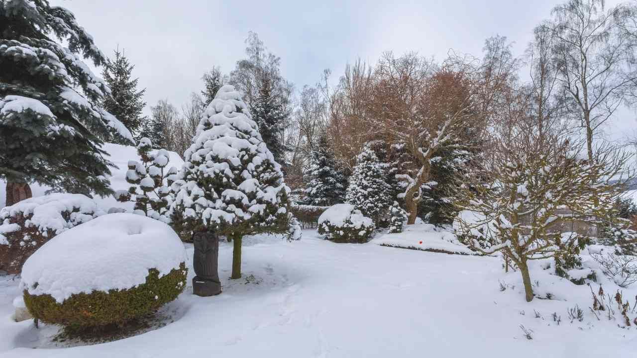 winter garden design