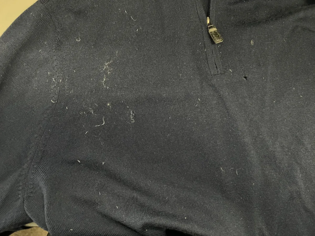 Why Do Clothes Get Moth Holes? Understanding Insect Damage on Clothing
