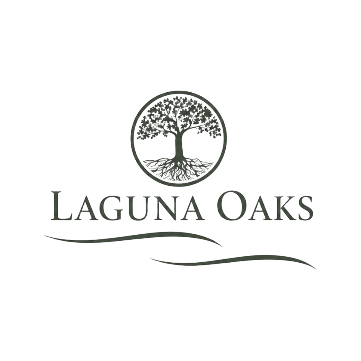 Laguna Oaks - Mission, TX