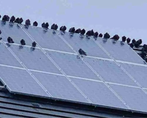 Solar Panel Restoration in Bass Hill