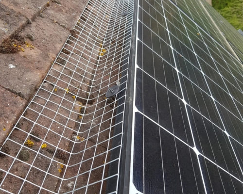 Bird Deterrent Installation in Bass Hill