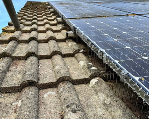 Residential Solar Cleaning in Bass Hill