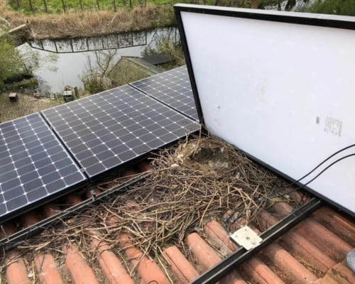 Solar Panel Maintenance in Bass Hill