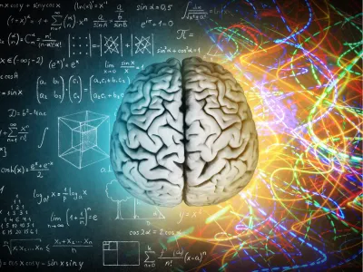 Your Gut Isn’t the Problem; It’s the Signal Controlling It