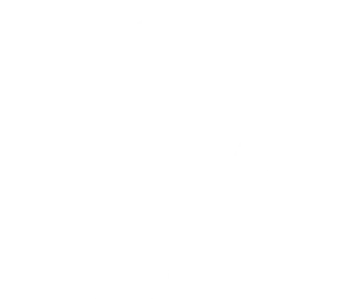 Apex Roofing Logo