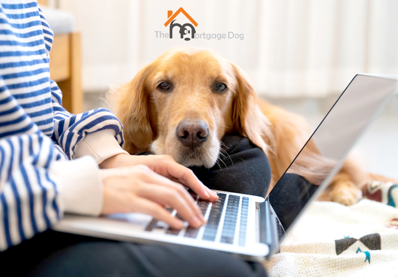 What you need to know about applying for a commercial mortgage