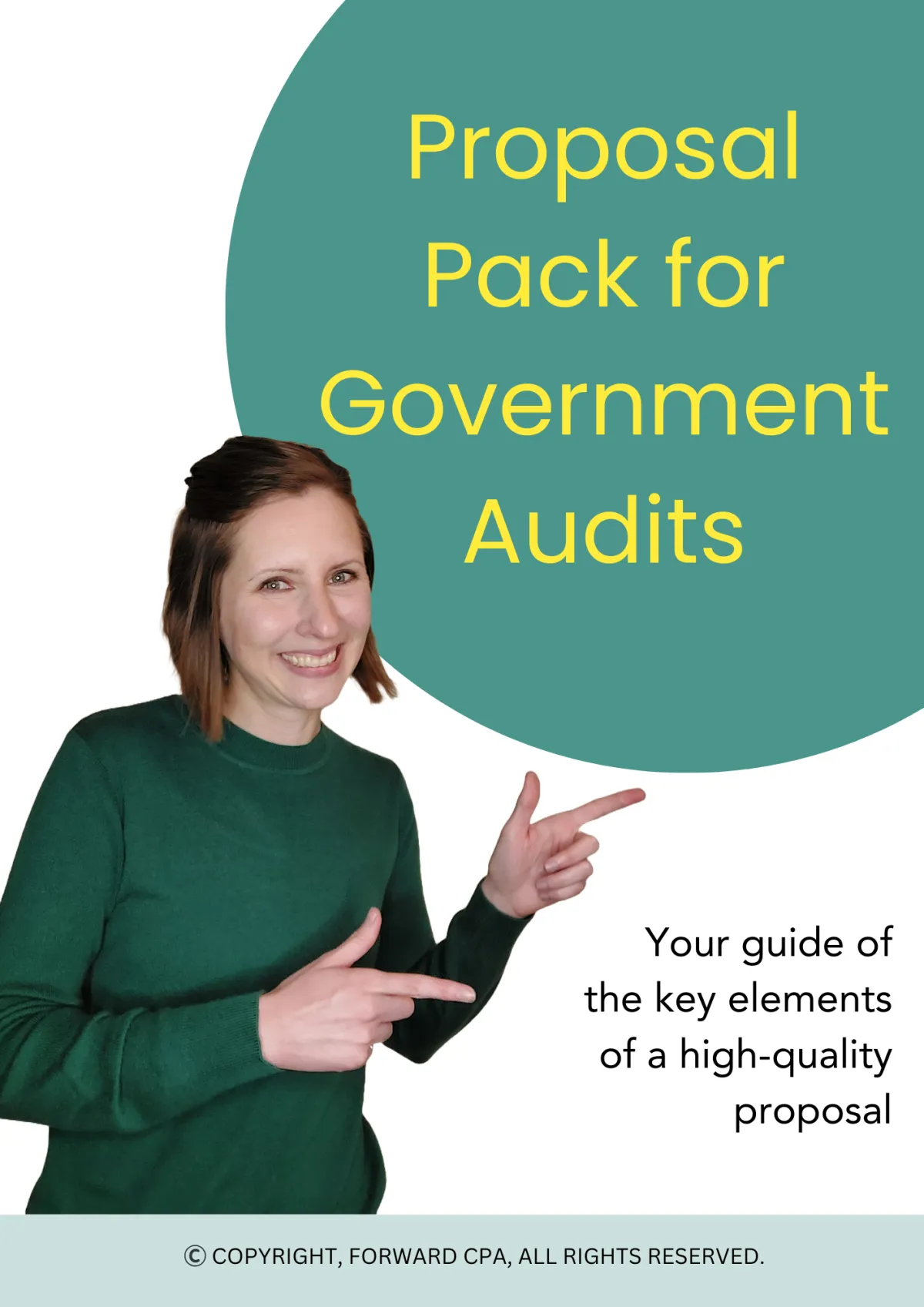 Proposal Pack for Government Audits