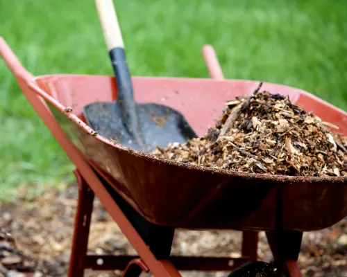 Mulch in Phoenixville