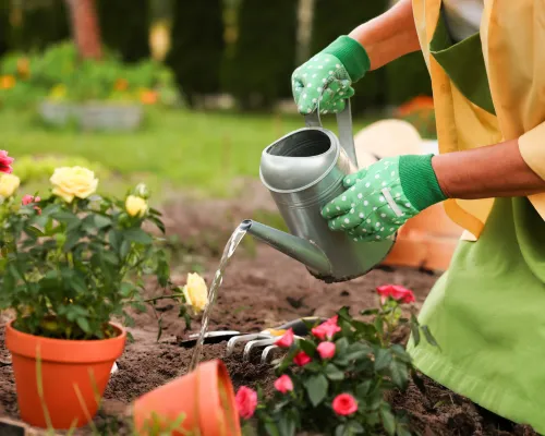 Gardening in Phoenixville