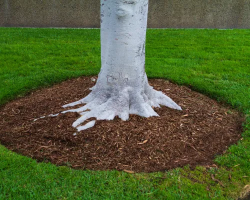 Pottstown Mulch
