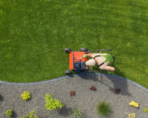 Tree Service