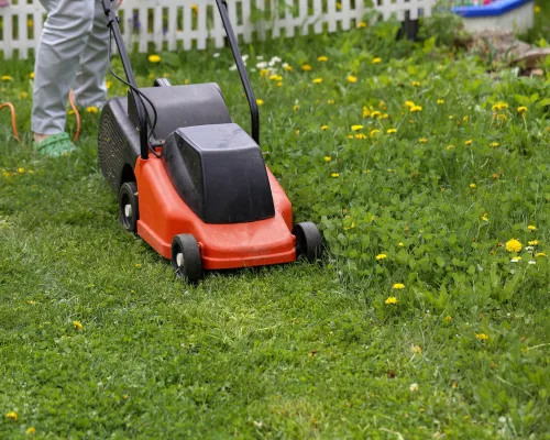 Pottstown Lawn Mowing