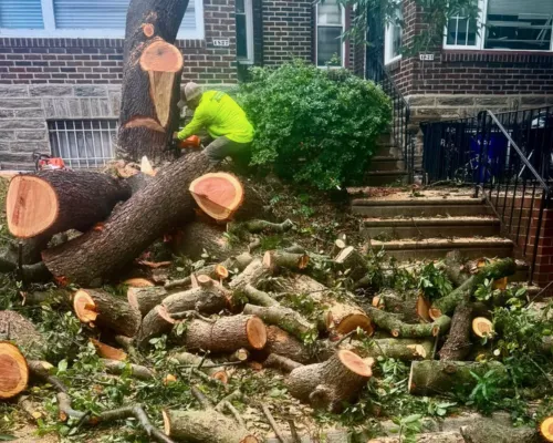 Philadelphia Gardening