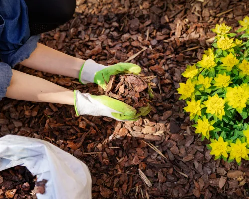 Lawn Mowing Phoenixville