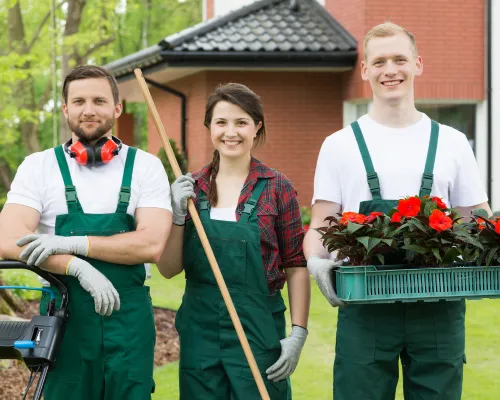 Tree Service 
