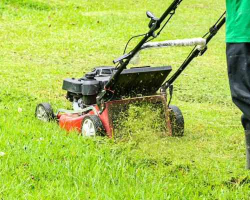 Gardening Phoenixville