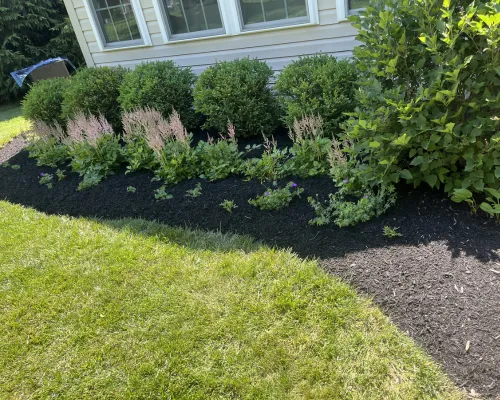 Mulch Phoenixville