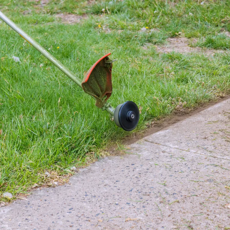 Edging in Cincinnati