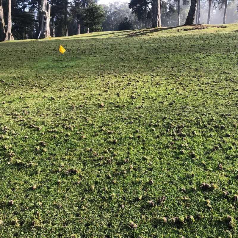 Aeration in Cincinnati