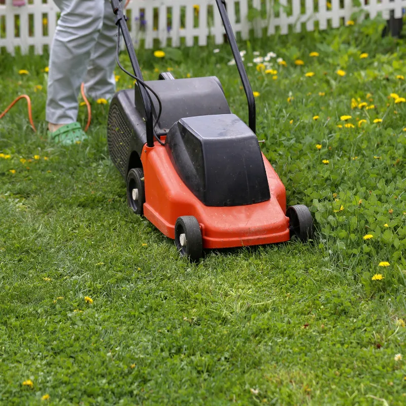 Newport Lawn Mowing