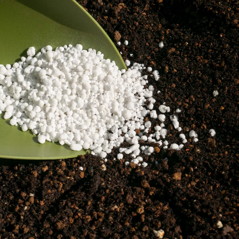 Newport Planting/Fertilizing