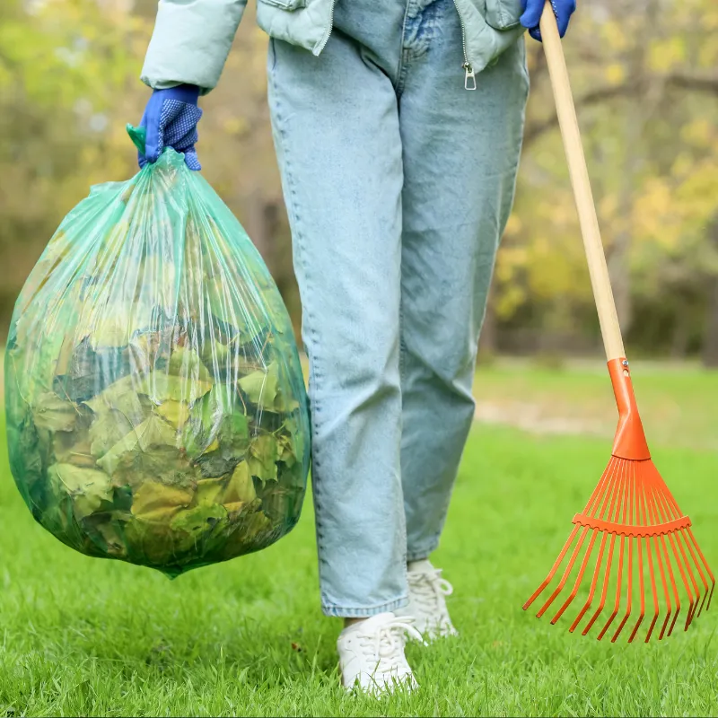 Newport Seasonal Clean Up