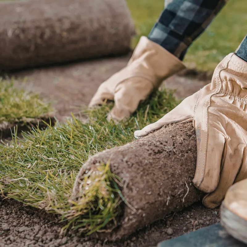 Newport Sod Installation
