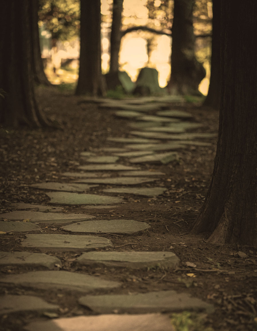 A warm, ground and stone pathway