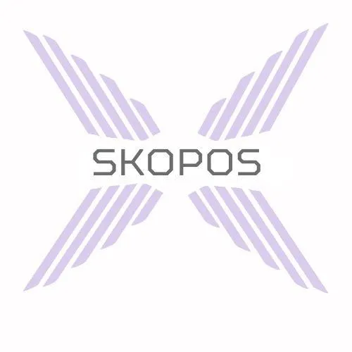 Skopos Consulting LLC