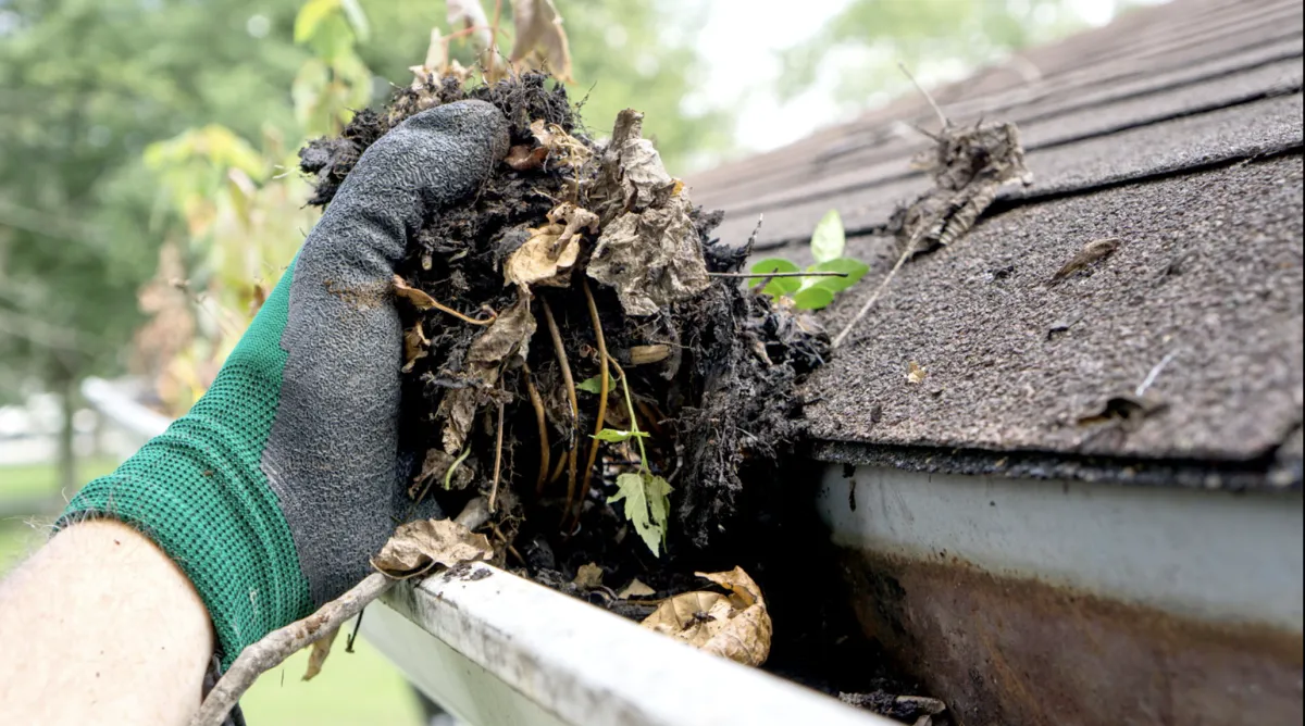 When Should You Clean Your Gutters in Calgary? (Seasonal Guide for Homeowners)