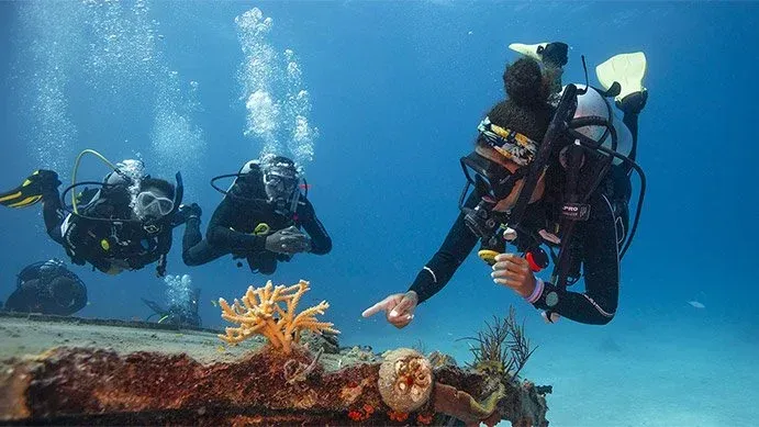 diver diving on ocean floor near statue