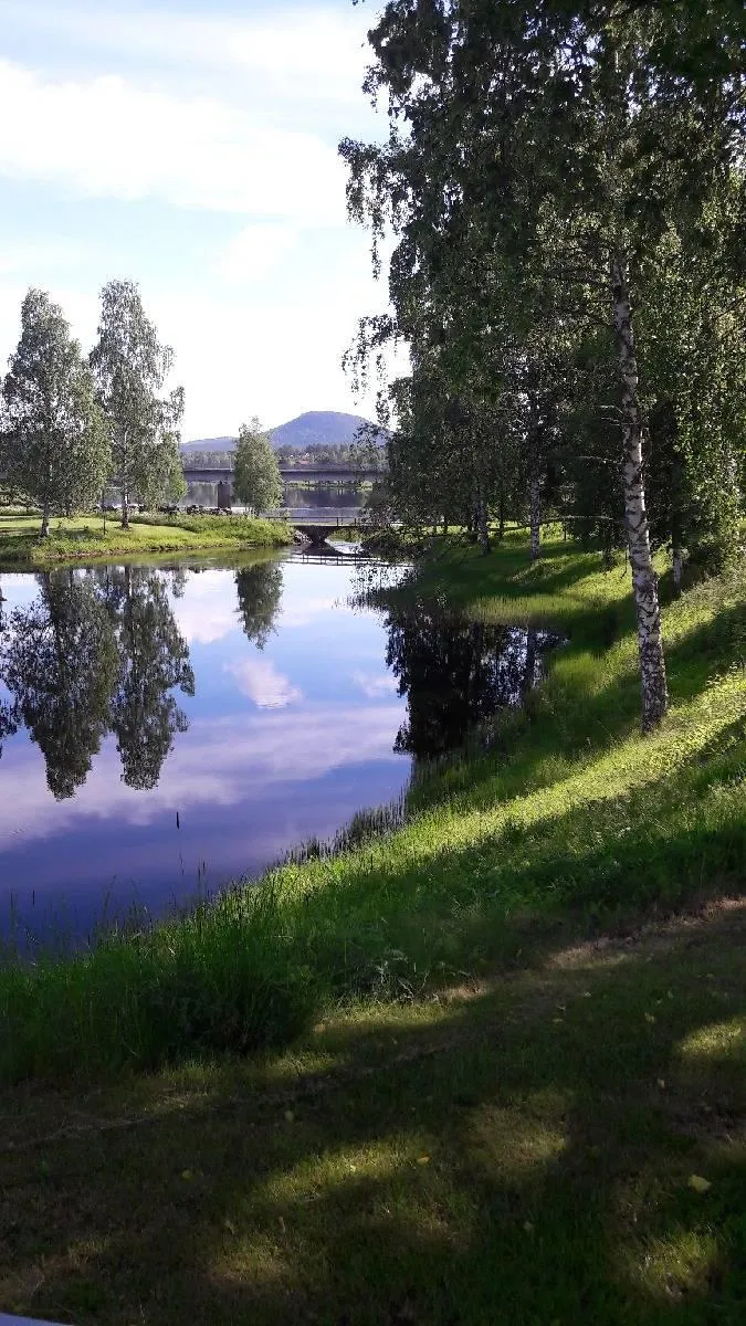 Lugn studiesituation med anteckningsbok och kopp te