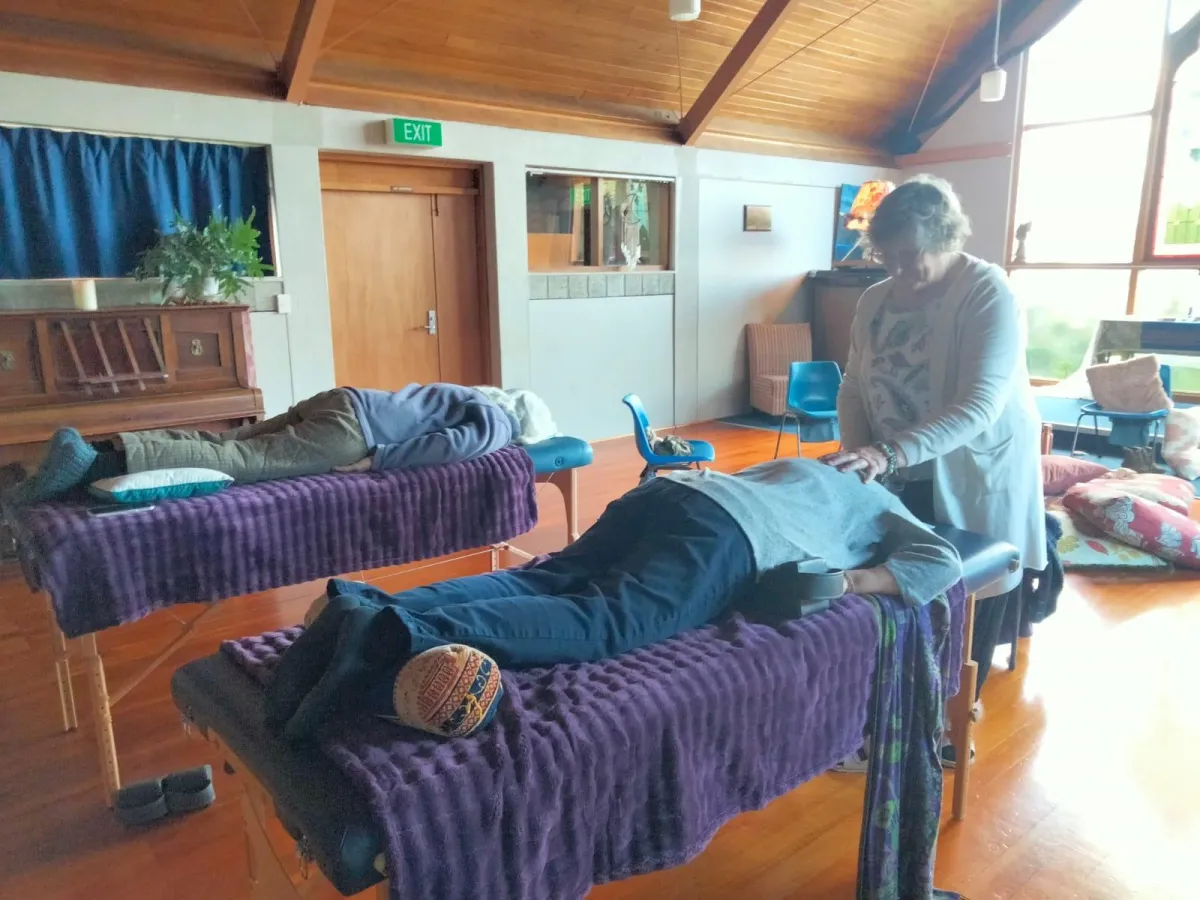 harmony spinal flow