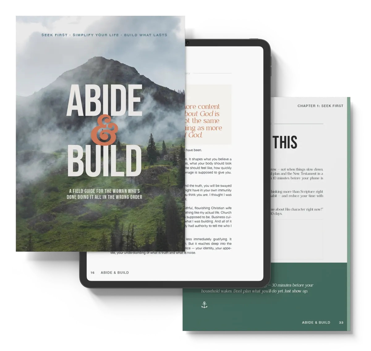 Abide & Build - The Field Guide For The Woman Who's Done Doing It All In The Wrong Order