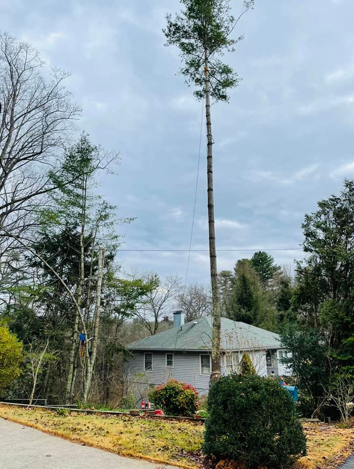 Fencing Contractor in Ventura County