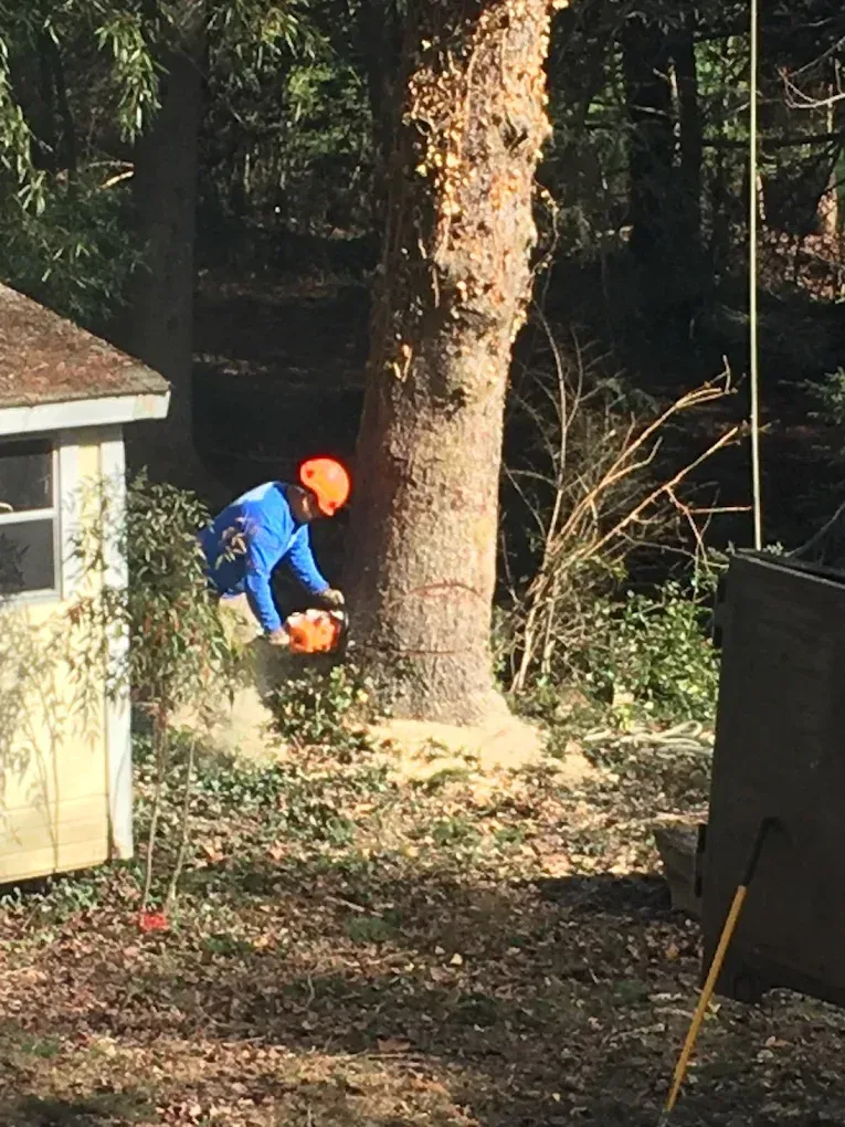 Concrete Contractor in Ventura County