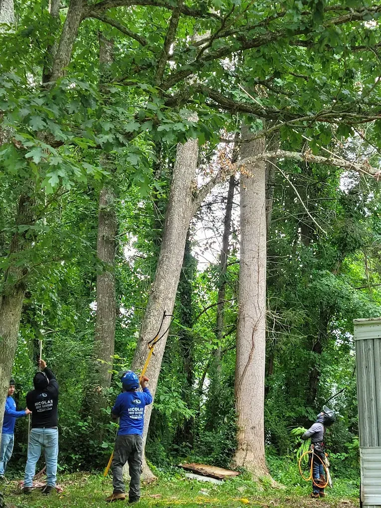 Landscape Contractor in Ventura County