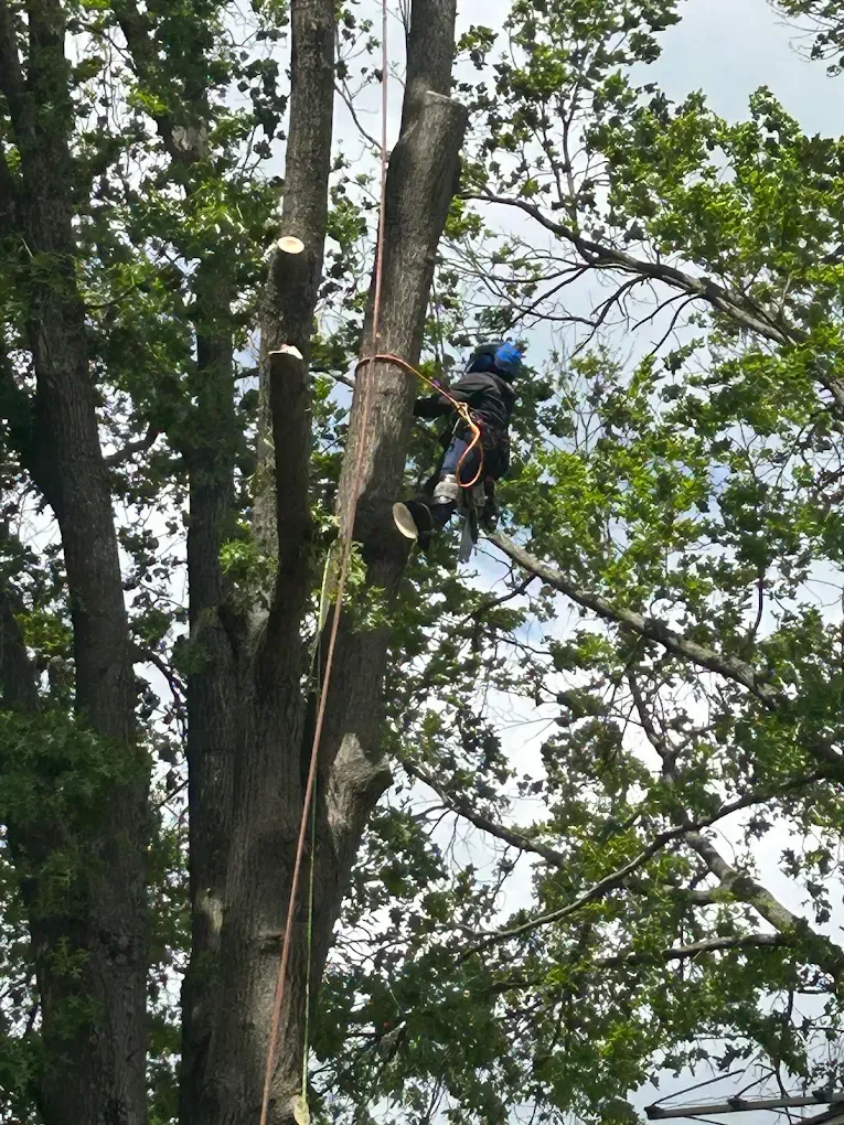 Concrete Contractor in Ventura County