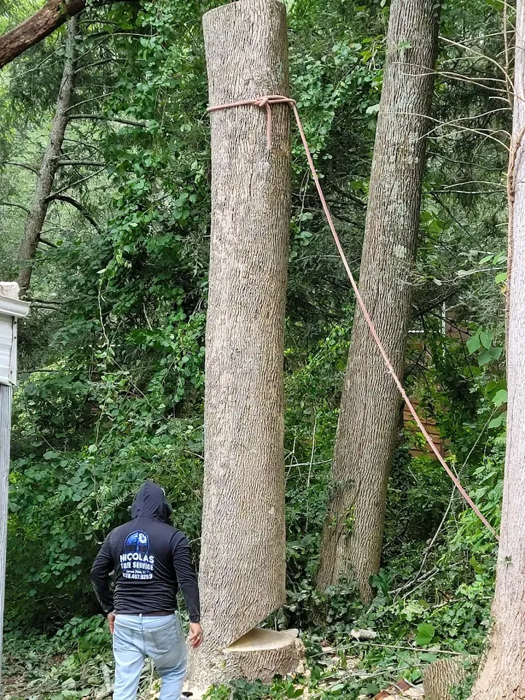 Concrete Contractor in Ventura County