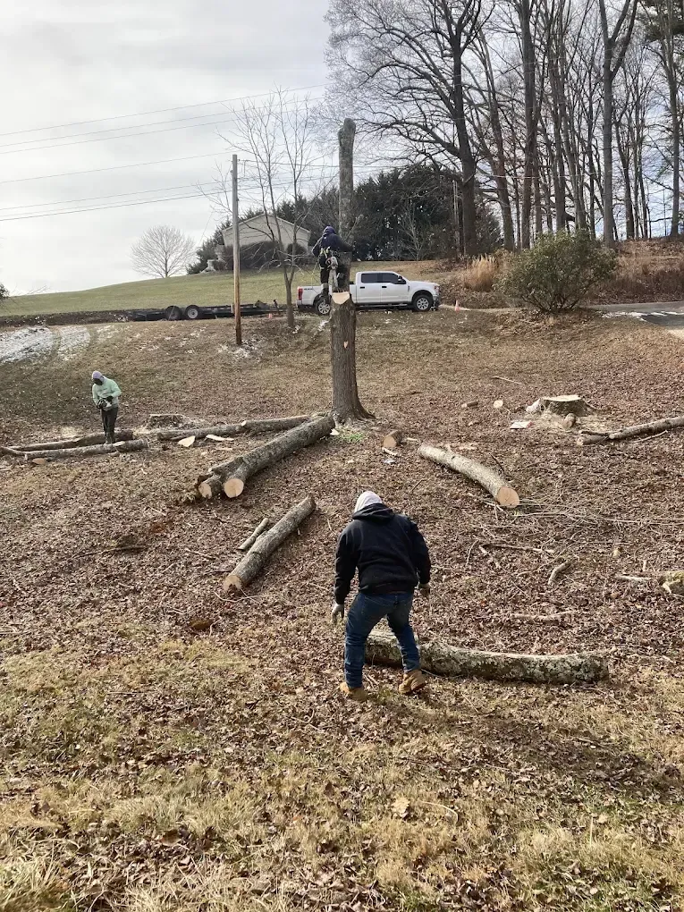 Concrete Contractor in Ventura County