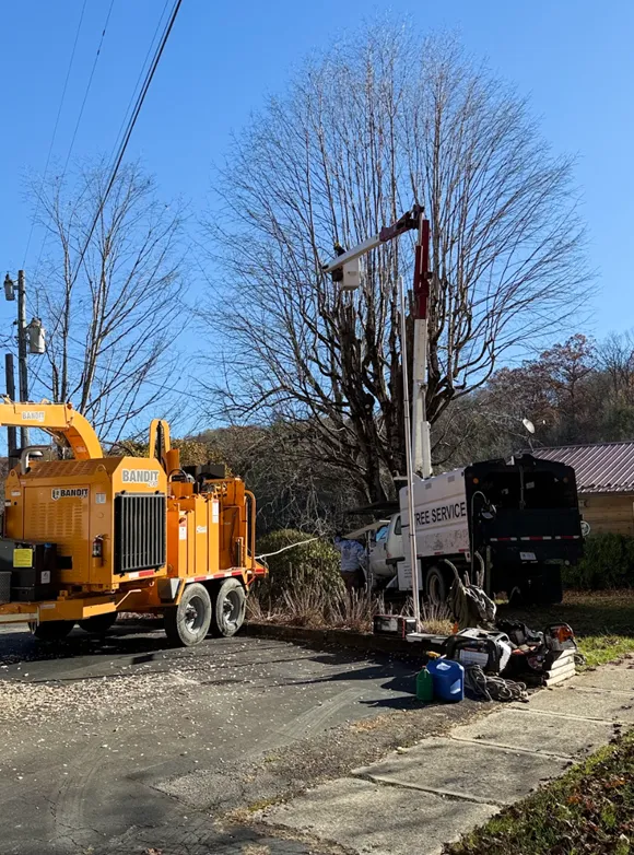 Concrete Contractor in Ventura County