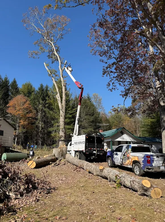 Concrete Contractor in Ventura County