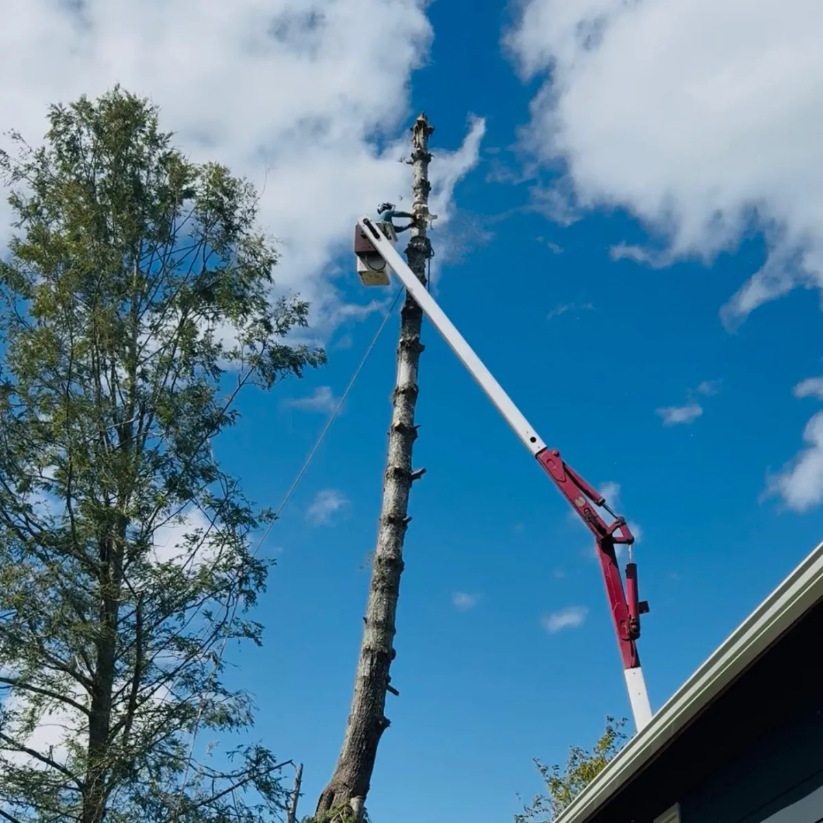 Concrete Contractor in Ventura County