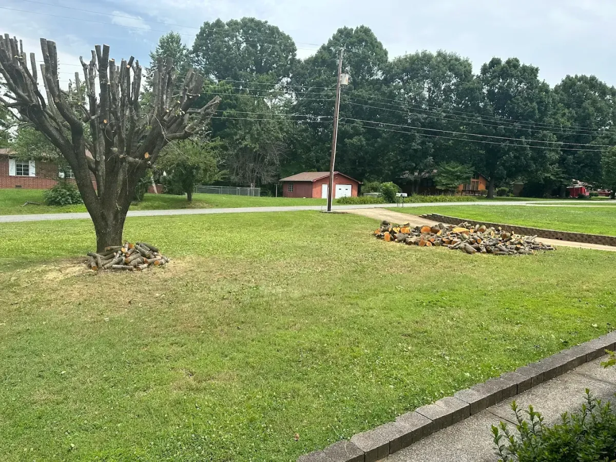 Landscape Contractor in Ventura County