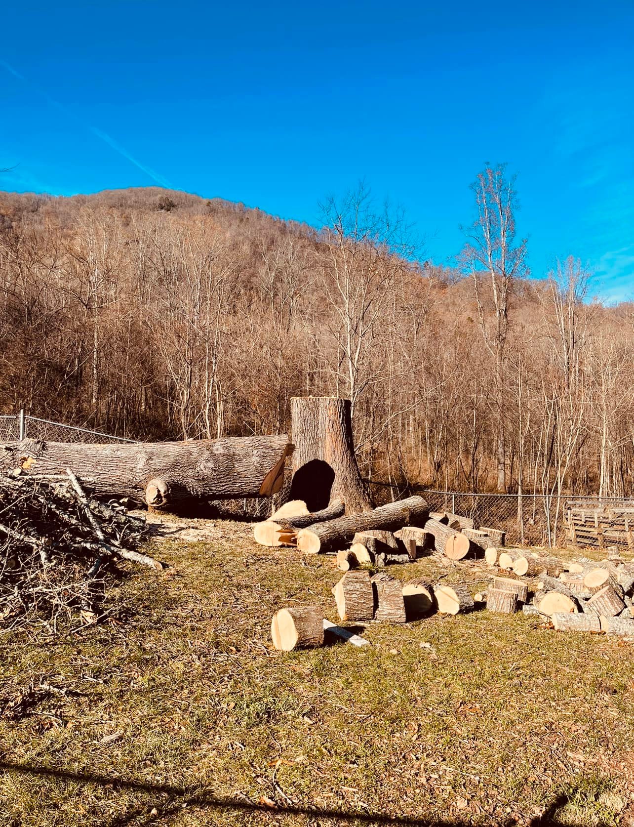 Concrete Contractor in Ventura County