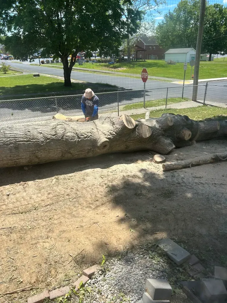 Concrete Contractor in Ventura County