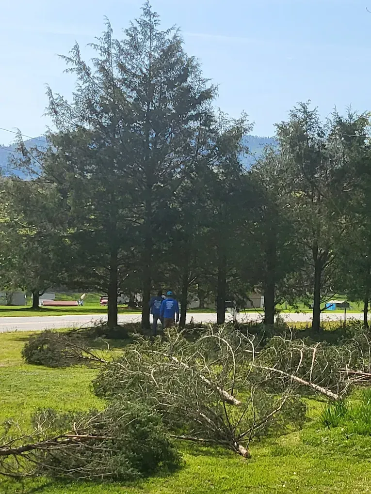 Concrete Contractor in Ventura County