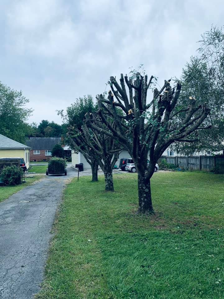 Concrete Contractor in Ventura County